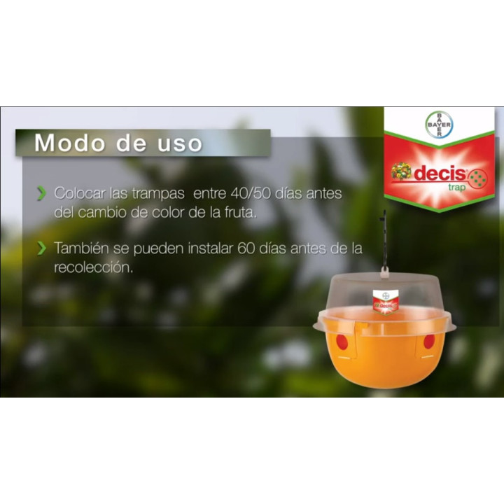 Trampa para la mosca de la fruta | Decis Trap®
