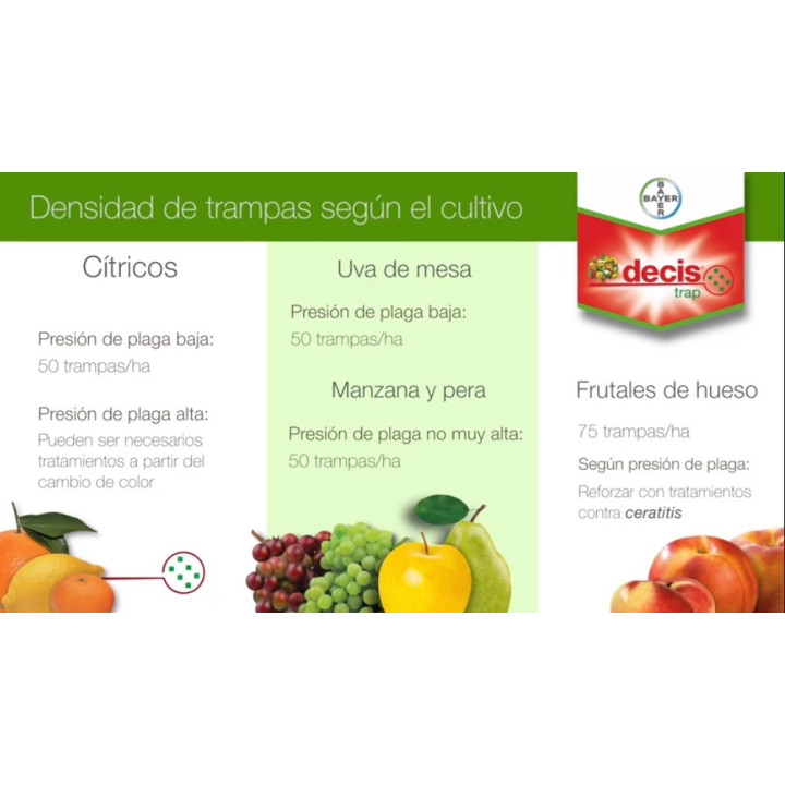 Trampa para la mosca de la fruta | Decis Trap®