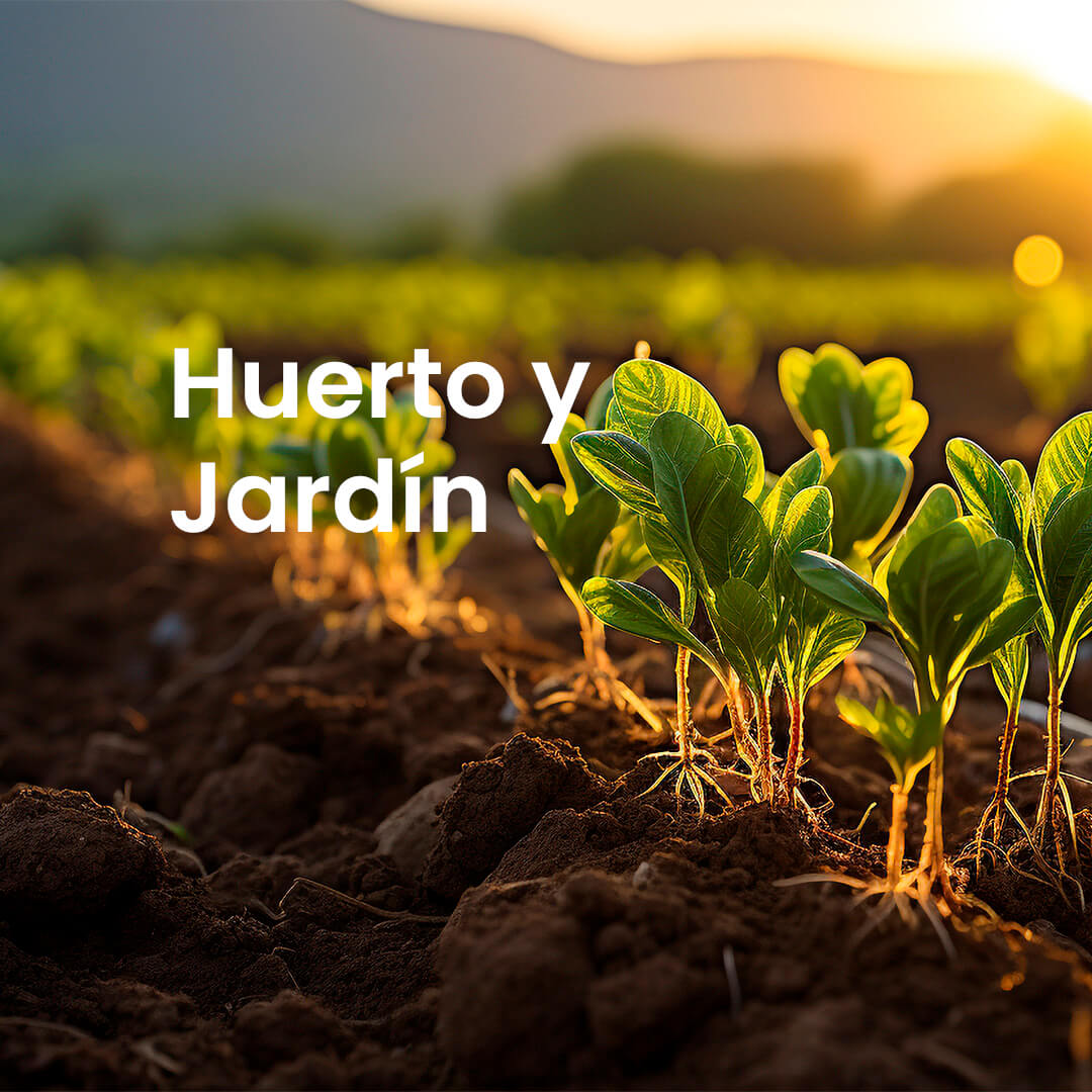Huerto y Jardín
