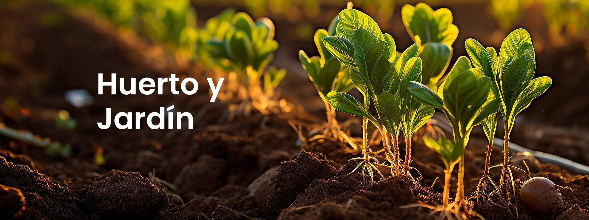 Huerto y Jardín